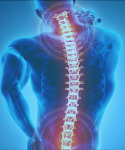 Back Care/Patient Handling