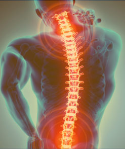 Back Care/Patient Handling