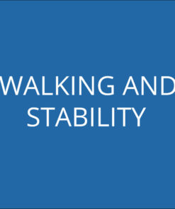 Walking and Stability